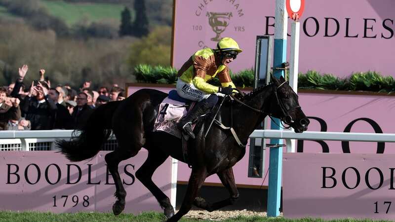 Galopin Des Champs ridden by Paul Townend crosses to line to win the Boodles Cheltenham Gold Cup