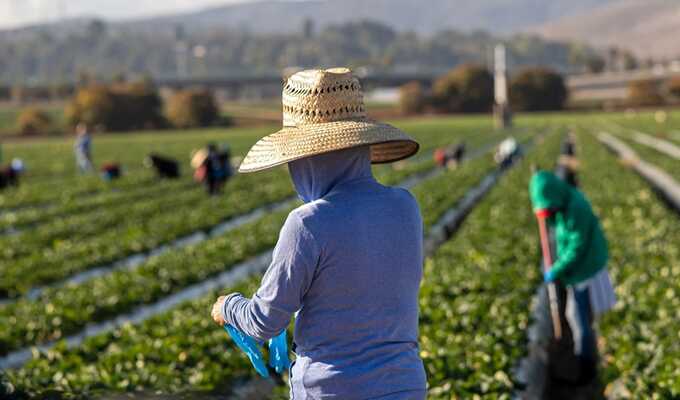 Migrant workers at greater risk of modern slavery after Brexit, research finds