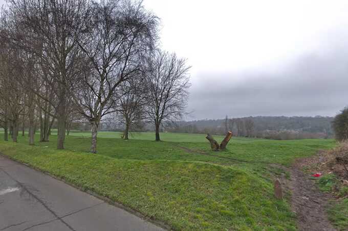 A murder probe has been initiated following the discovery of human remains in a park located in south London