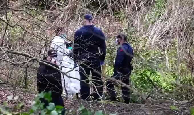 Police provide significant update on headless human torso discovery: deceased for only a few days
