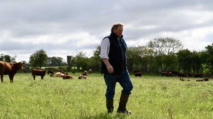 Brexit aftermath leads to UK farmers losing faith amid looming food security concerns