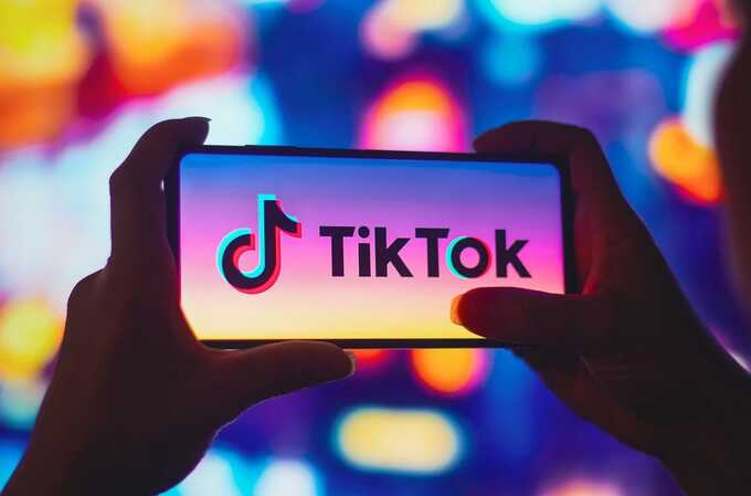 TikTok sues to block prospective US app ban