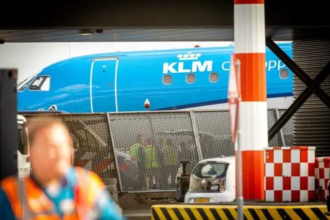 Horror at Amsterdam airport as person is sucked into plane engine