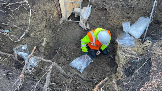 The remains have been found in the garden