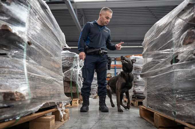 Rotterdam and Antwerp, the bloc’s largest cargo seaports, interdicted just over half of the amount of cocaine in the first half of 2024. | Simon Wohlfahrt/Getty Images