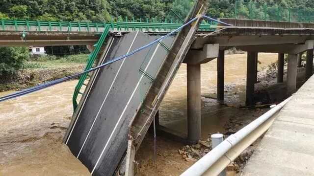 Part of the bridge has .completely collapsed ( Image: Xinhua/REX/Shutterstock)