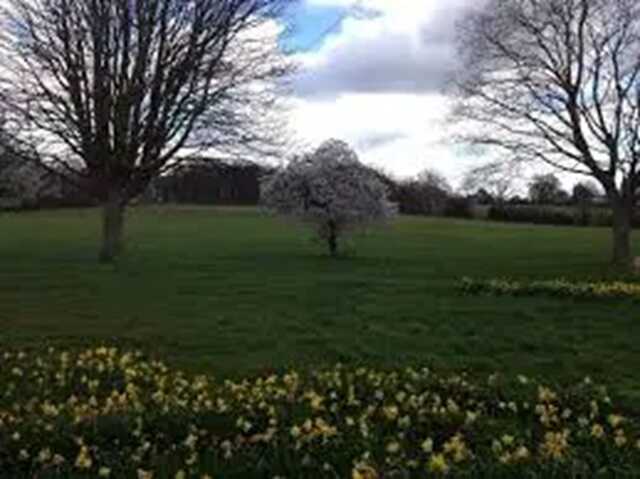 ’Human organs were found inside a container’ at Rosehill Park