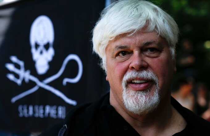 Paul Watson, founder of the animal rights and environmental group Sea Shepherd. Watson could face up to 15 years in prison in Japan if convicted. Photograph: Markus Schreiber/AP