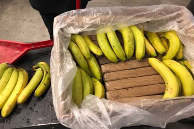 UK: Ringleader of banana-filled cocaine smuggling gang convicted