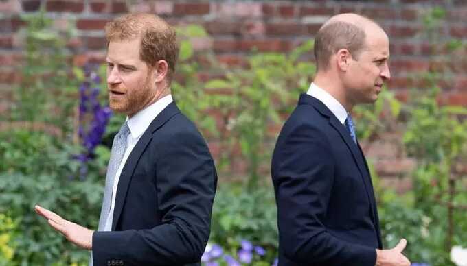 Prince Harry and Prince William’s strained relationship ’bad’ yet ’repairable’