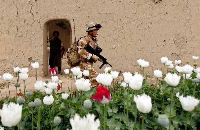 An Afghan man watches a British soldier walking past a poppy field in Musa Qala, Helmand province, in 2009. Photograph: Reuters