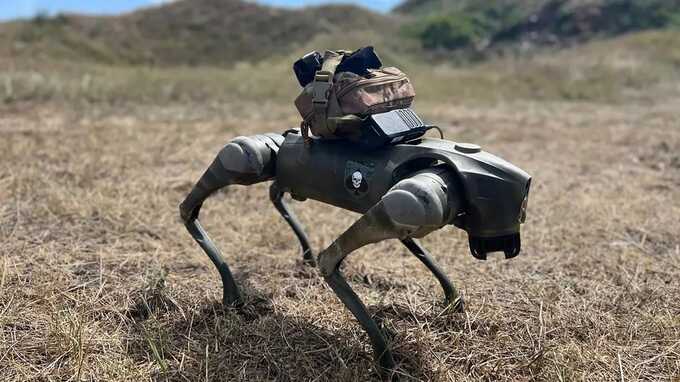 Over 30 robot dogs developed by UK Brit Alliance company ’perform reconnaissance missions on the front lines’ in Ukraine (Image: Brit Alliance/east2west news)