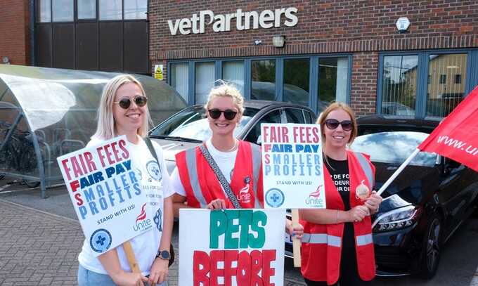 Staff at Valley Vets in south Wales went on strike last week. Photograph: Unite Wales