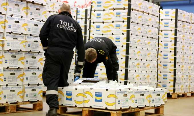 Norwegian custom officers search banana boxes imported from Ecuador. Photograph: Fredrik Naumann/Panos/The Observer