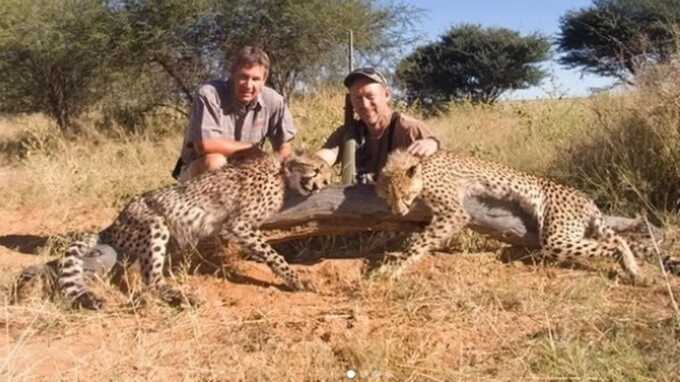 ’Notorious’ trophy hunter boasts about killing cheetah cubs and posts pictures of their bodies online