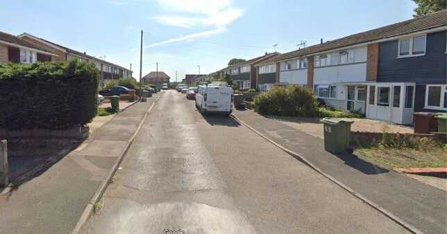 Man in 20s arrested after woman in 80s found dead with knife wounds