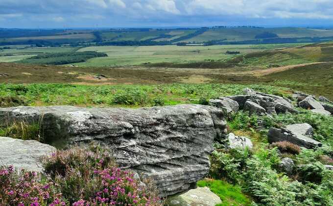 Wildlife Trusts purchase Rothbury estate in England’s largest land sale in 30 years