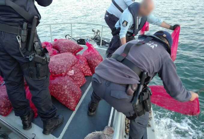 Contaminated seafood worth £8,000,000 seized from criminal gangs