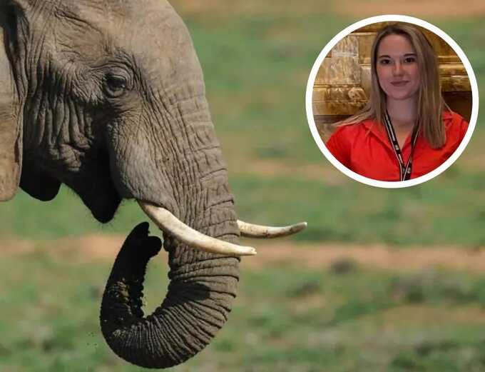 22-year-old Spanish student dies in Thailand after elephant attack