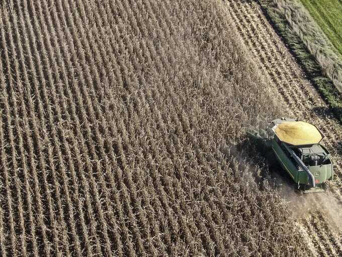 UK farmland contaminated by ’forever chemicals’ linked to cancers