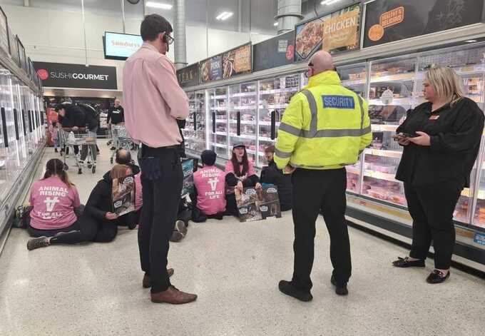 Customers attempt to ram Animal Rising activists during Sainsbury’s meat aisle demonstration