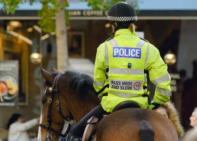 Met Police considers disbanding Royal Parks unit, prompting charity warnings of ’serious consequences’