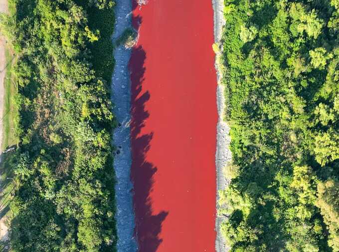 Suspected industrial dye leak turns river near Buenos Aires bright red