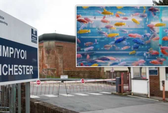 ‘Aging and deteriorating’ prison spent £8,000 on a fish tank