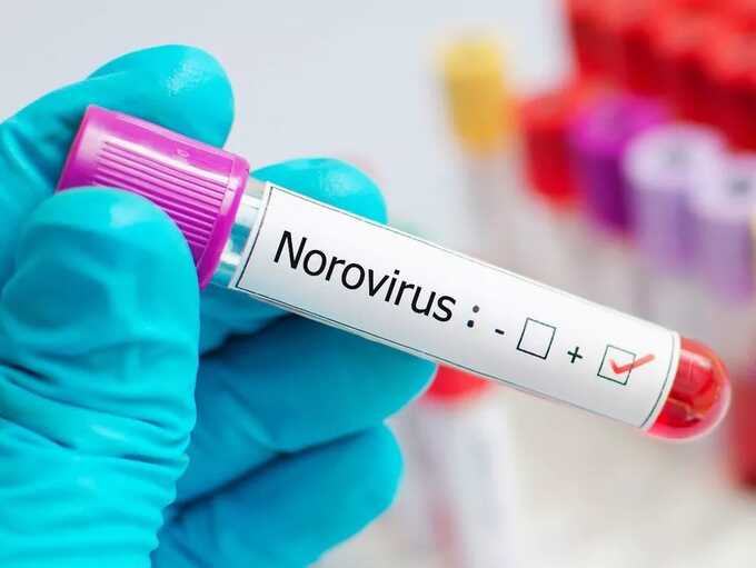 Norovirus hospital cases hit record high