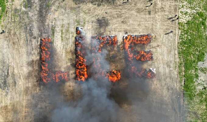 Whole town in Turkey unintentionally gets "high" after drug disposal operation