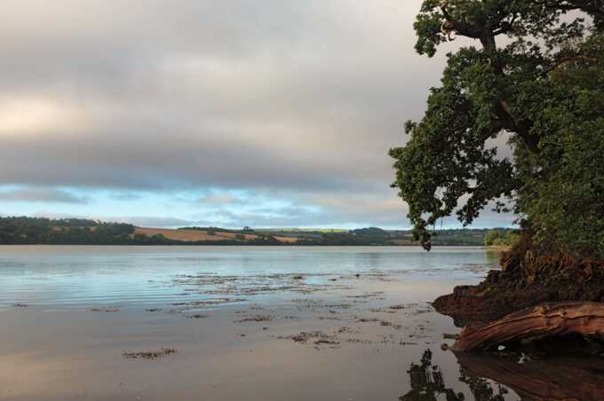 Girl, 11, tragically dies after incident on River Lynher in Cornwall