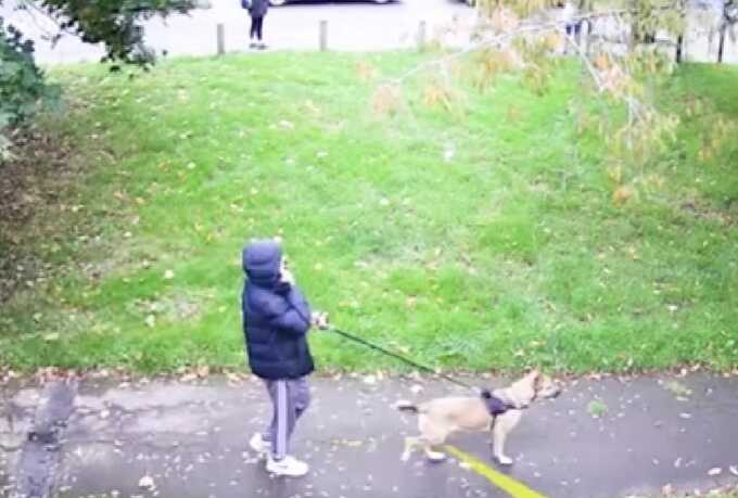 “Three musketeers” gang ‘hunted and killed’ Essex dogwalker