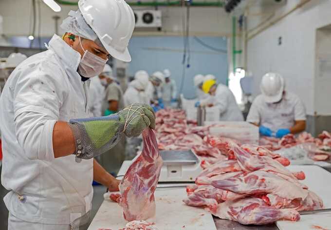 UK faces major disease risk as smuggled meat and dairy flood In