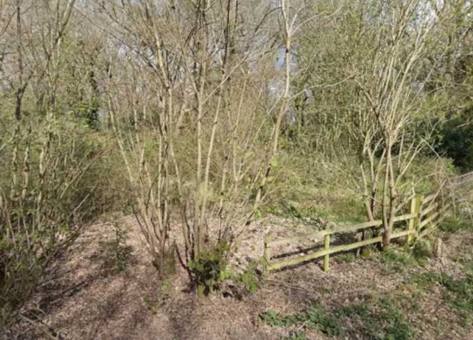 Police launch manhunt after woman sexually assaulted in Leicestershire woods