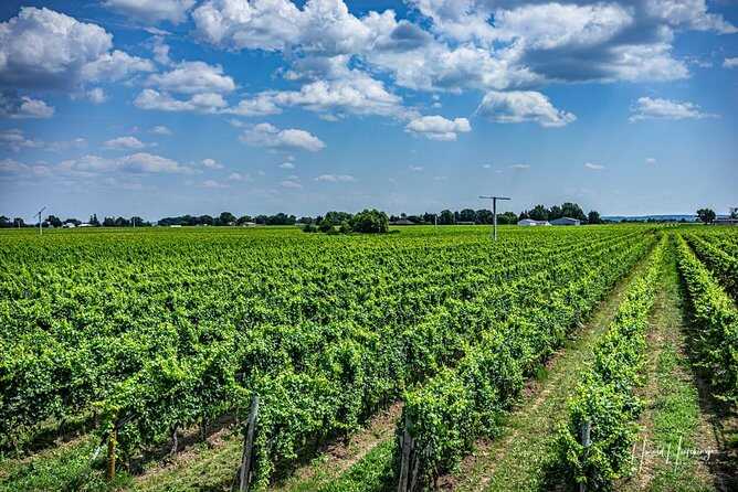 €115,000 EU rural funds fraud exposed as prosecutors seize property in Romania