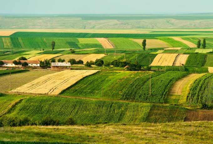 EPPO uncovers suspected fake farm applications in multimillion-euro Romania scandal