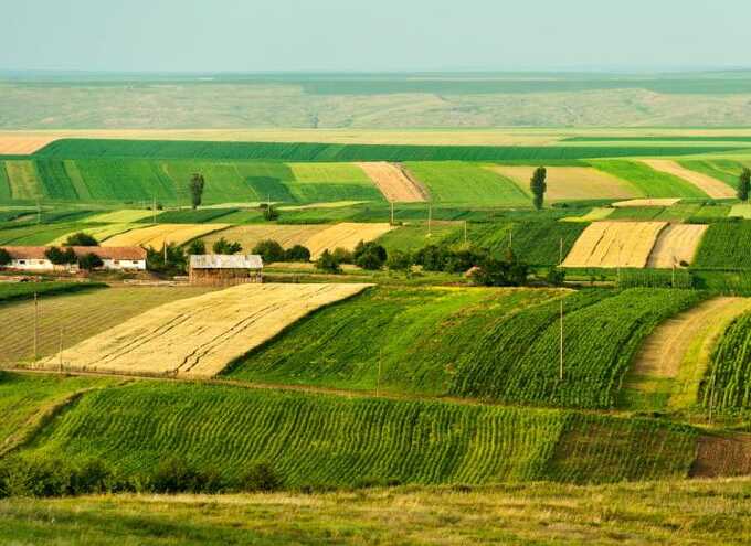 EU prosecutors probe €3.5m Romanian farm subsidy fraud involving 237 fake applications