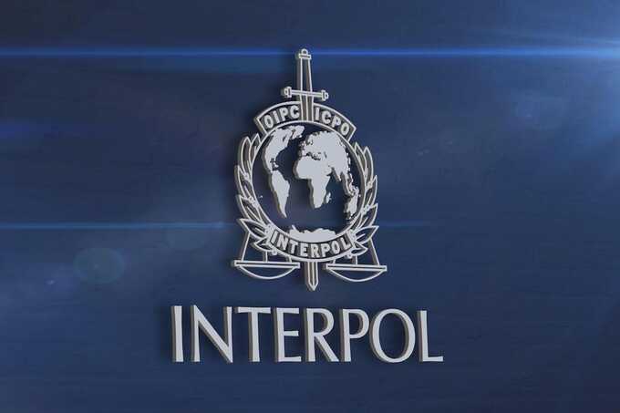 Interpol operation arrests 5,811 suspects and seizes $293 million in global fraud crackdown