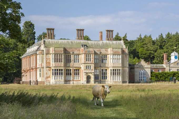 Elderly man trampled to death by cattle at National Trust estate