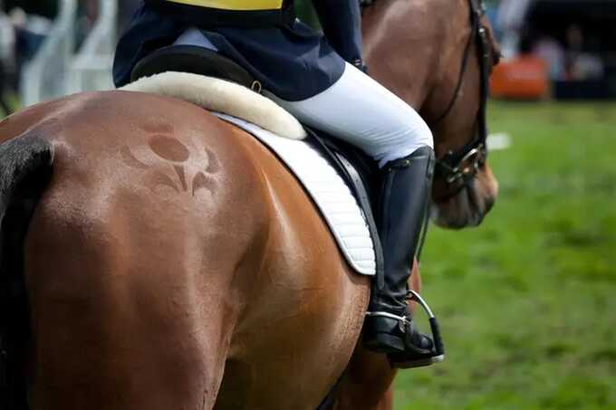 Two riders killed in separate horse riding accidents on same day at British events