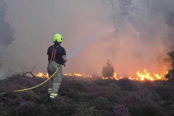 Major incident declared as wildfire spreads across Dunwich Heath in Suffolk