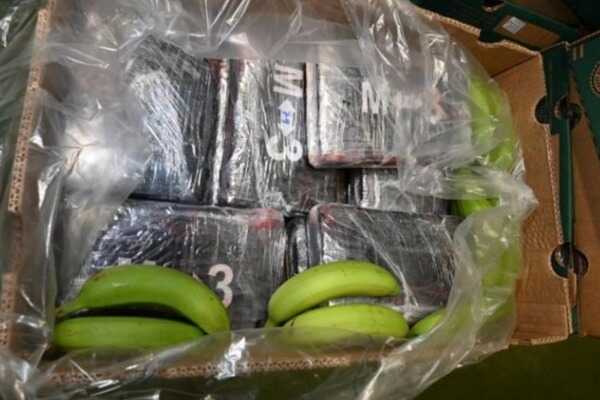 Cocaine worth £200m found hidden among banana boxes at UK port