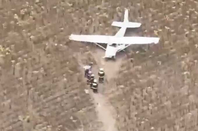 Pilot arrested after stealing plane and flying it over Hungarian nuclear plant