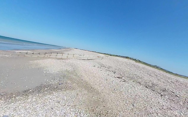 Six men were arrested over a half-tonne haul discovered by the National Crime Agency on Medmerry Beach, near Selsey (pictured) eiqeeikuikdinv