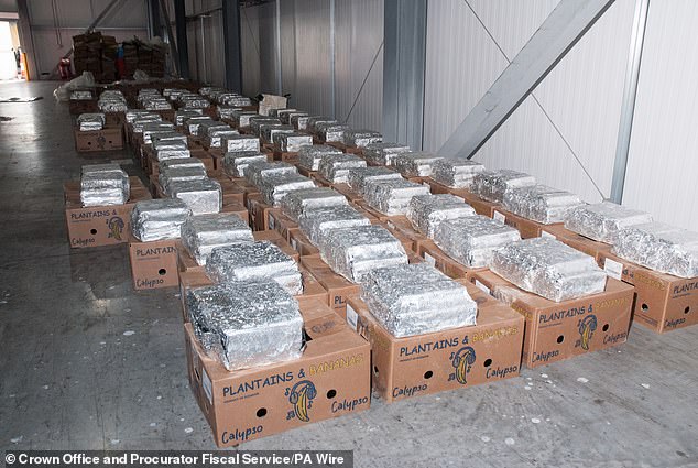 Gangsters also tried to smuggle class A drugs into Britain inside consignments of bananas