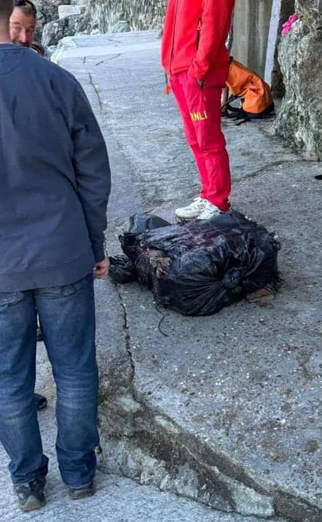 Cocaine worth up to an estimated £3.1 million was found washed up on the popular beach of Trevaunance Cove in Cornwall (Pictured)