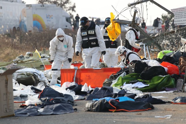 MUAN-GUN, SOUTH KOREA - DECEMBER 29: South Korean rescue team members check near the wreckage of a passenger plane at Muan International Airport on December 29, 2024 in Muan-gun, South Korea. A plane carrying 181 people, Jeju Air Flight 7C2216, crashed at Muan International Airport in South Korea after skidding off the runway and colliding with a wall, resulting in an explosion. Early reports said that at least 120 people had died. (Photo by Chung Sung-Jun/Getty Images)