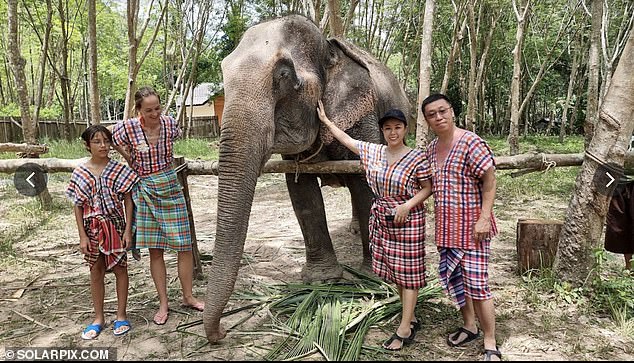 The incident happened on Friday at the Koh Yao sanctuary on the Thai island of Yao Yai. Picture shows tourists posing with an elephant at the elephant care centre where Garcia died