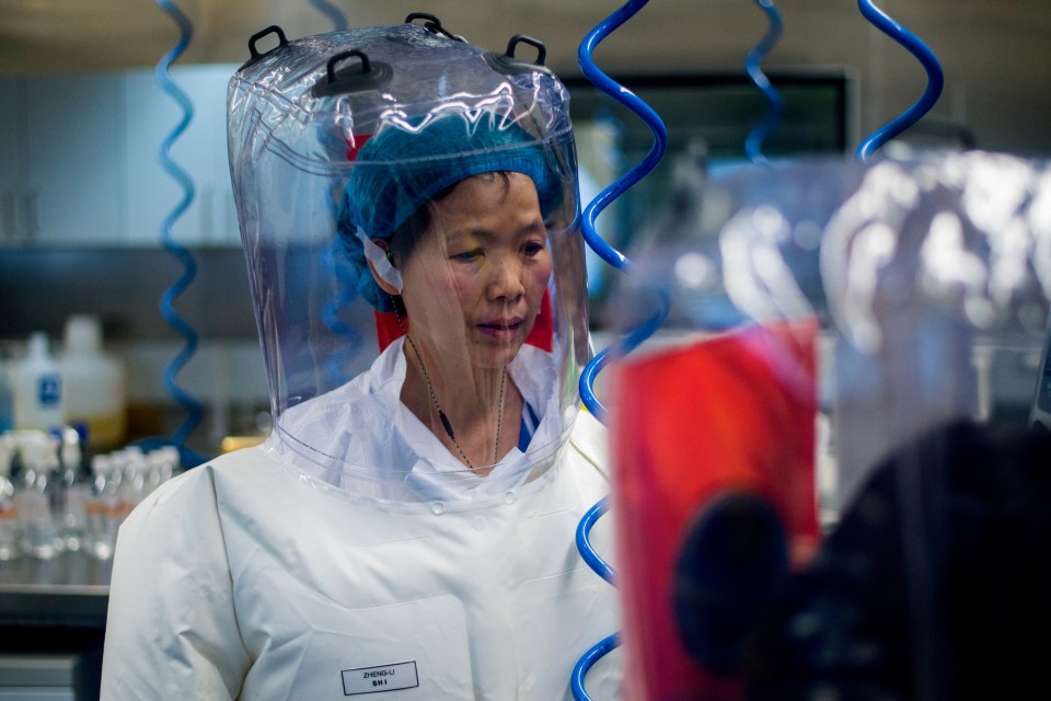 A scientist in a protective suit inside a P4 laboratory.