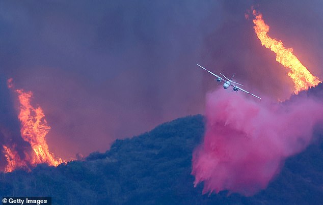 The fires have killed at least 16 and displaced hundreds of thousands